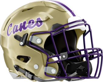 Cartersville High Helmet Right