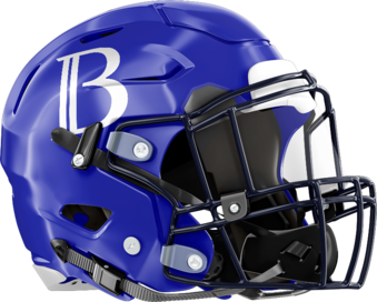 Brookstone Cougars Helmet