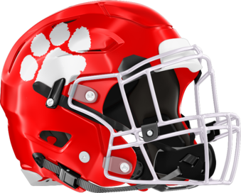 Calhoun County Cougars Helmet