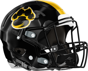 Claxton Tigers Helmet