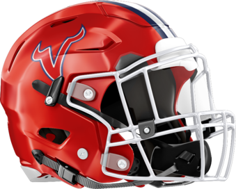 St. Anne-Pacelli Vikings Helmet