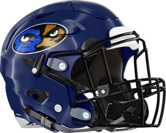 Sumter County Panthers Helmet Right