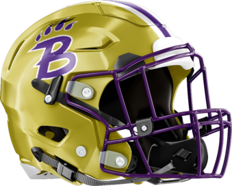 Bainbridge Bearcats Helmet Right