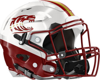 Dawson County Tigers Helmet Right