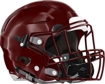 Dooly County Bobcats Helmet Right