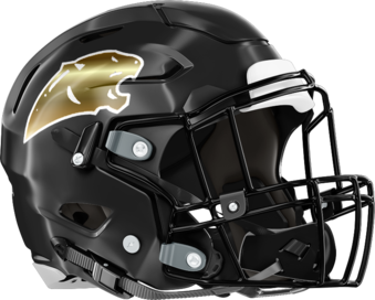 Liberty County Panthers Helmet Right