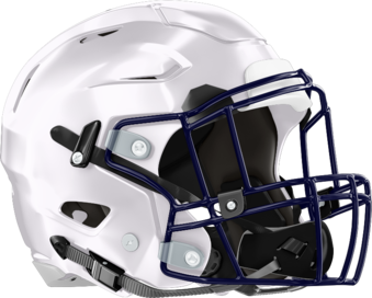 Portal Panthers Helmet Right