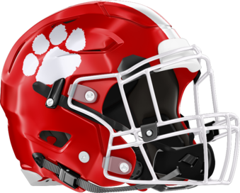 Rabun County Wildcats Helmet Right