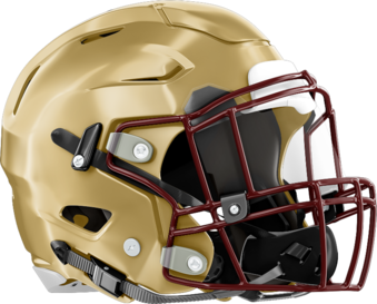 Salem Seminoles Helmet Right