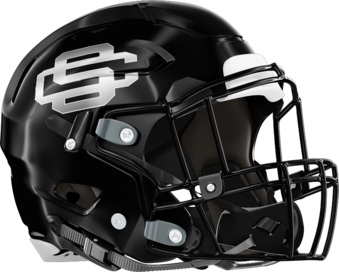 Schley County Wildcats Helmet Right