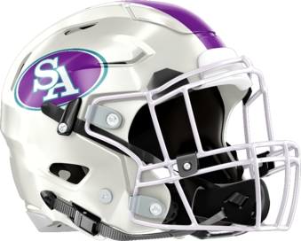 South Atlanta Hornets Helmet Right