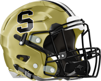 Swainsboro Tigers Helmet Right