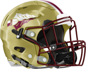 Vidalia Indians Helmet Right