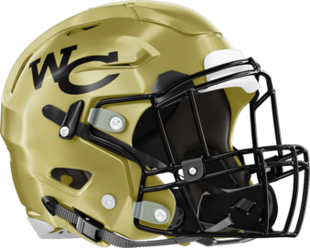 Washington County Golden Hawks Helmet Right