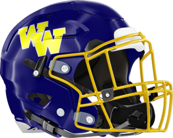 Washington-Wilkes Tigers Helmet Right