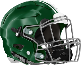 Westminster Wildcats Helmet Right