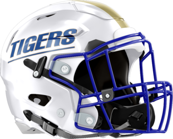 Bradwell Institute Tigers Helmet