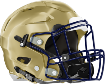 Dacula Falcons Helmet