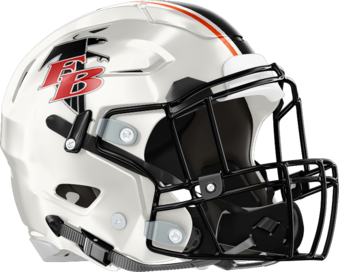 Flowery Branch Falcons Helmet