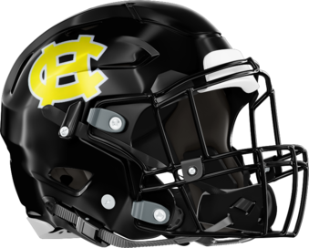 Harris County Tigers Helmet