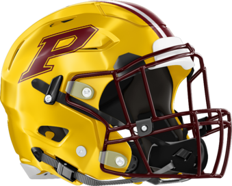 Perry Panthers Helmet
