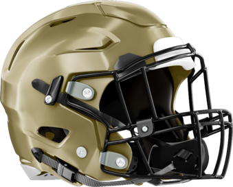 St. Pius X Golden Lions Helmet