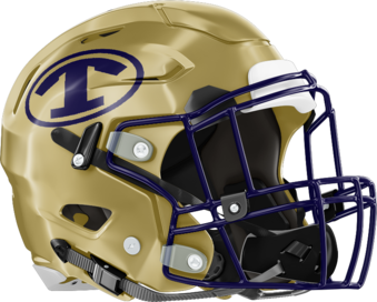 Taylor County Vikings Helmet