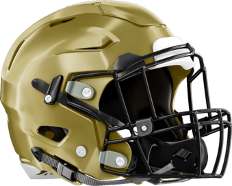 Fayette County Tigers Helmet