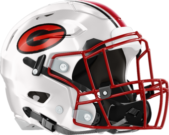 Gainesville Red Elephants Helmet