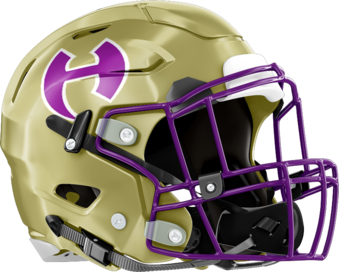 Hiram Hornets Helmet