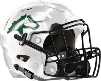 Kennesaw Mountain Mustangs Helmet