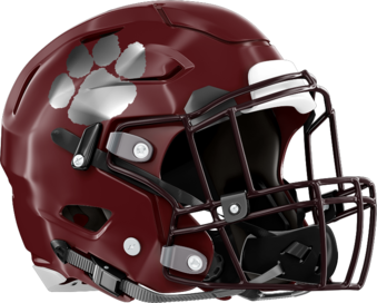 Lakeside, Evans Panthers Helmet