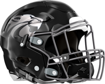 Locust Grove Wildcats Helmet