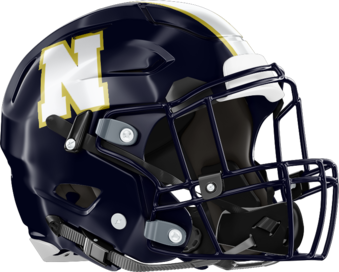 Newnan Cougars Helmet