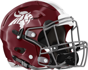 Northgate Vikings Helmet