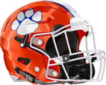 Parkview Panthers Helmet