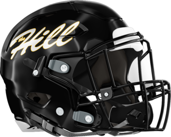 Richmond Hill Wildcats Helmet