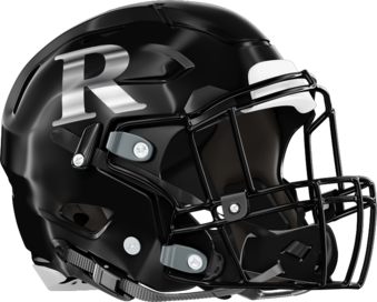 Ridgeland Panthers Helmet