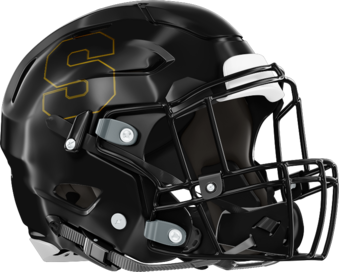 Sprayberry Yellow Jackets Helmet