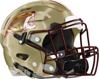 Tucker Tigers Helmet