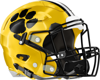 Valdosta Wildcats Helmet