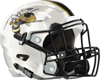 Wayne County Yellow Jackets Helmet