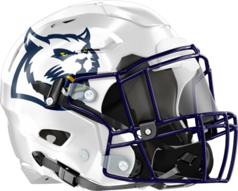 Wheeler Wildcats Helmet