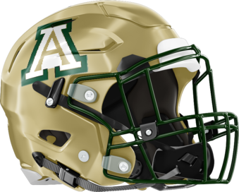 Adairsville Tigers Helmet