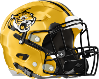 Alcovy Tigers Helmet