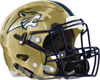 Apalachee Wildcats Helmet