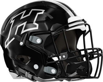 Houston County Bears Helmet