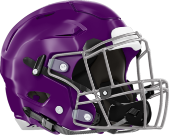 Miller Grove Wolverines Helmet