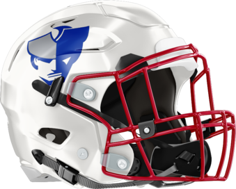 Oglethorpe County Patriots Helmet