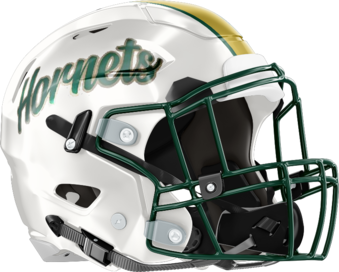 Savannah Country Day Hornets Helmet